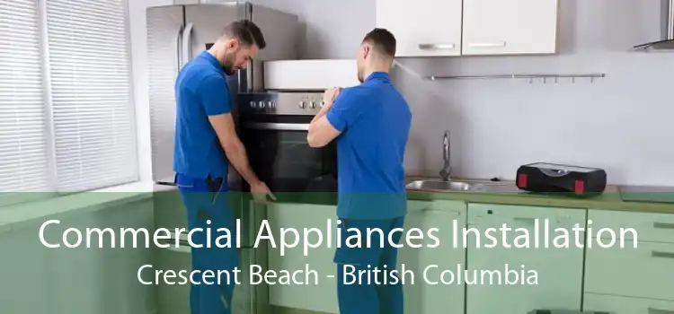 Commercial Appliances Installation Crescent Beach - British Columbia
