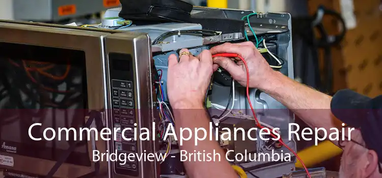 Commercial Appliances Repair Bridgeview - British Columbia