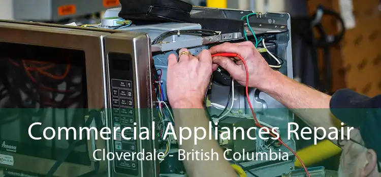 Commercial Appliances Repair Cloverdale - British Columbia