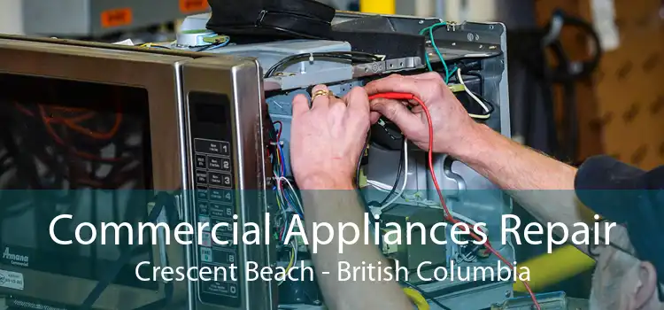 Commercial Appliances Repair Crescent Beach - British Columbia
