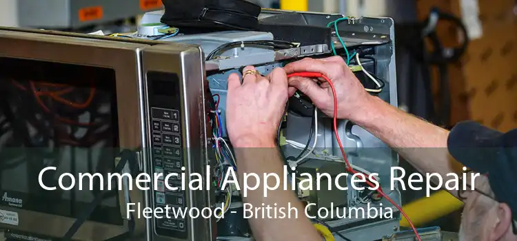 Commercial Appliances Repair Fleetwood - British Columbia