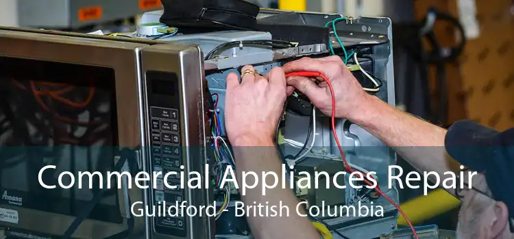 Commercial Appliances Repair Guildford - British Columbia