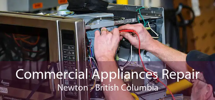 Commercial Appliances Repair Newton - British Columbia