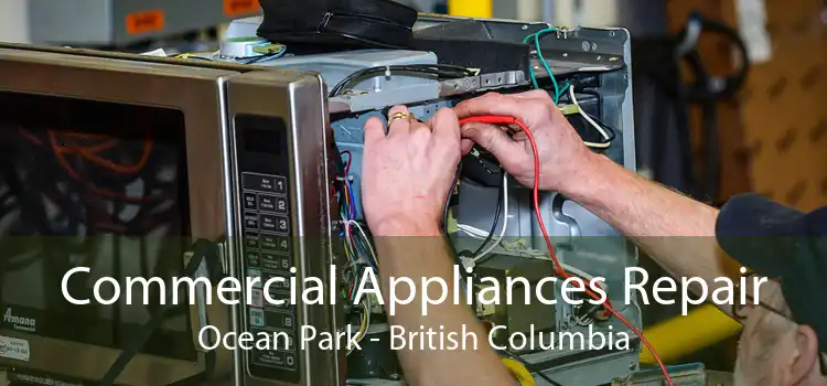 Commercial Appliances Repair Ocean Park - British Columbia