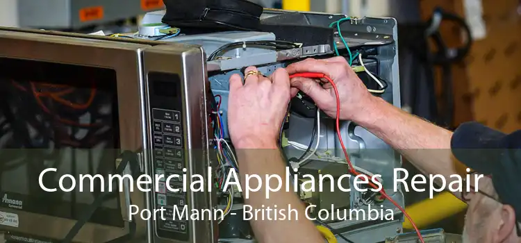 Commercial Appliances Repair Port Mann - British Columbia