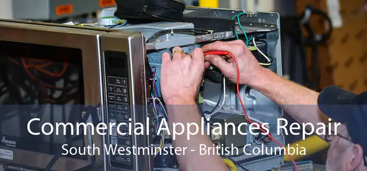 Commercial Appliances Repair South Westminster - British Columbia