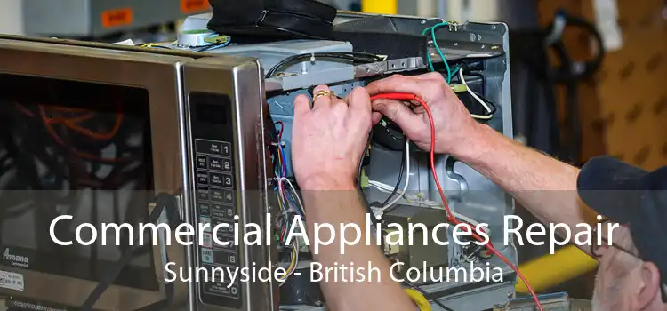 Commercial Appliances Repair Sunnyside - British Columbia