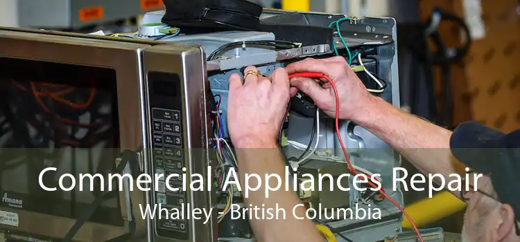 Commercial Appliances Repair Whalley - British Columbia