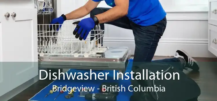 Dishwasher Installation Bridgeview - British Columbia