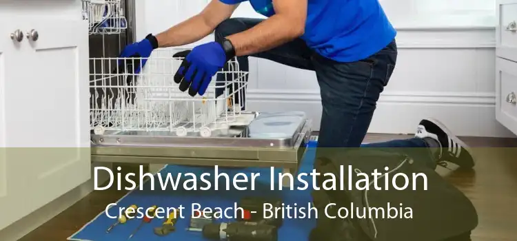Dishwasher Installation Crescent Beach - British Columbia