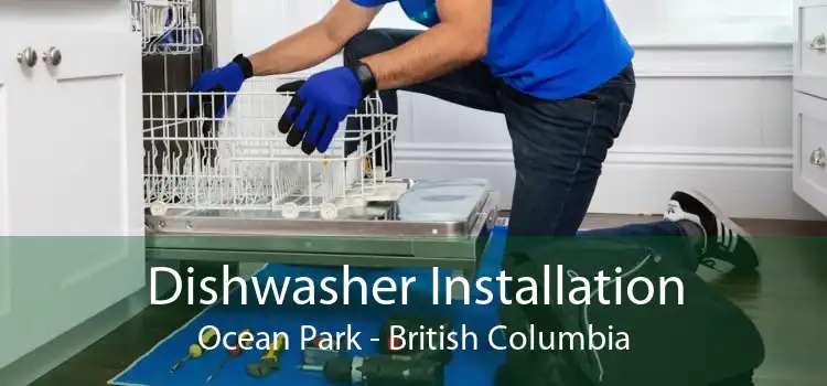 Dishwasher Installation Ocean Park - British Columbia