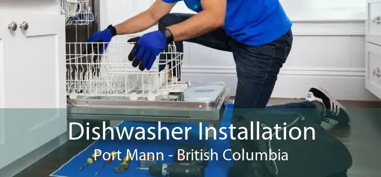 Dishwasher Installation Port Mann - British Columbia