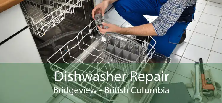 Dishwasher Repair Bridgeview - British Columbia