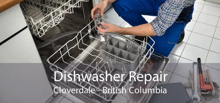 Dishwasher Repair Cloverdale - British Columbia