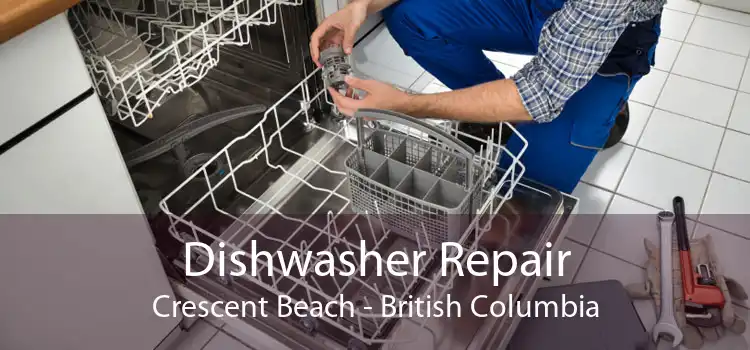 Dishwasher Repair Crescent Beach - British Columbia