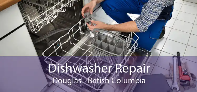 Dishwasher Repair Douglas - British Columbia