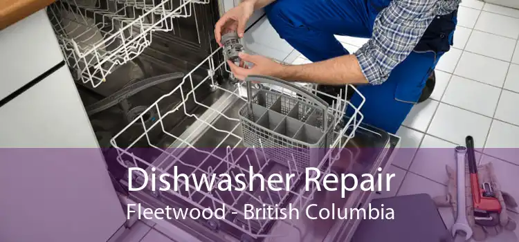 Dishwasher Repair Fleetwood - British Columbia