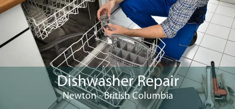 Dishwasher Repair Newton - British Columbia