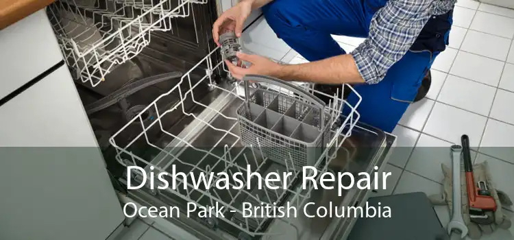 Dishwasher Repair Ocean Park - British Columbia