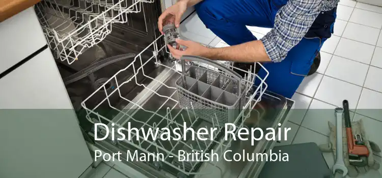 Dishwasher Repair Port Mann - British Columbia