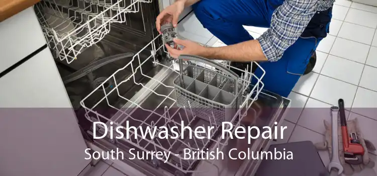 Dishwasher Repair South Surrey - British Columbia