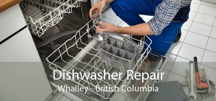 Dishwasher Repair Whalley - British Columbia