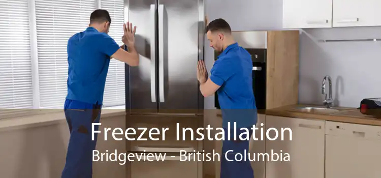Freezer Installation Bridgeview - British Columbia