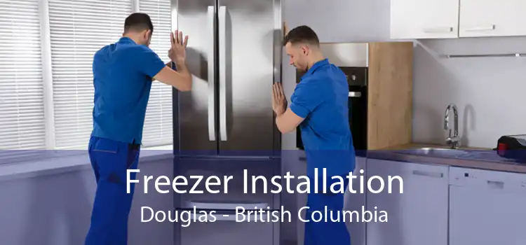 Freezer Installation Douglas - British Columbia