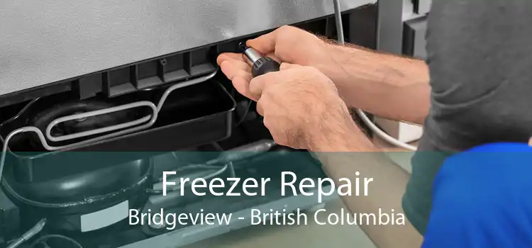 Freezer Repair Bridgeview - British Columbia