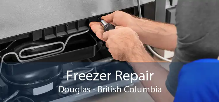 Freezer Repair Douglas - British Columbia