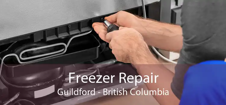 Freezer Repair Guildford - British Columbia