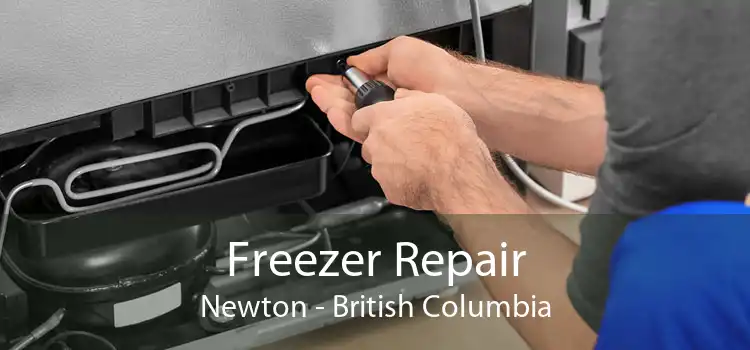 Freezer Repair Newton - British Columbia