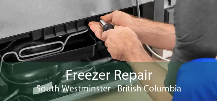 Freezer Repair South Westminster - British Columbia
