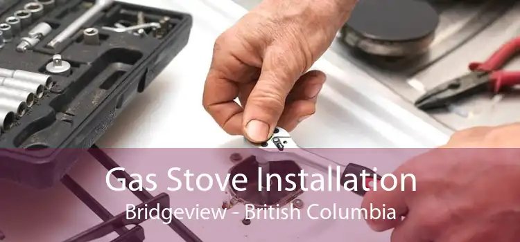 Gas Stove Installation Bridgeview - British Columbia