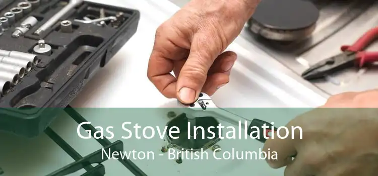 Gas Stove Installation Newton - British Columbia