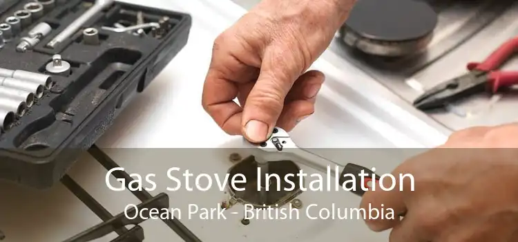Gas Stove Installation Ocean Park - British Columbia