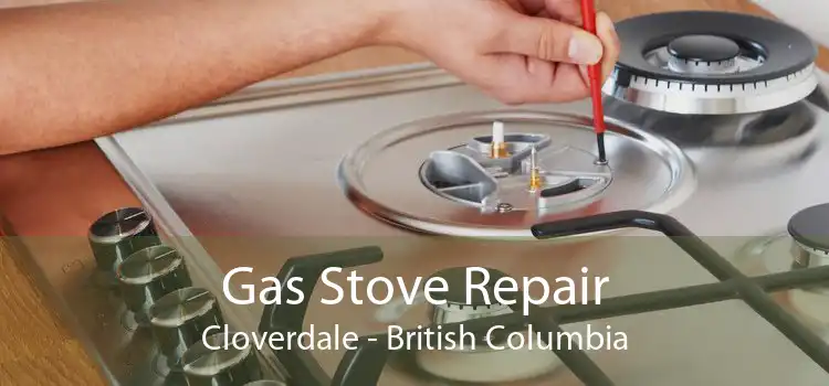 Gas Stove Repair Cloverdale - British Columbia