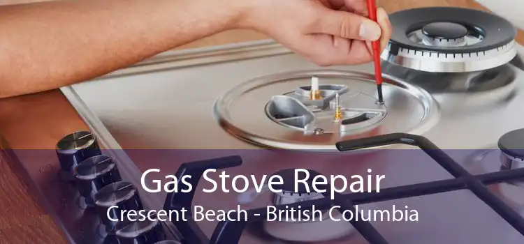 Gas Stove Repair Crescent Beach - British Columbia