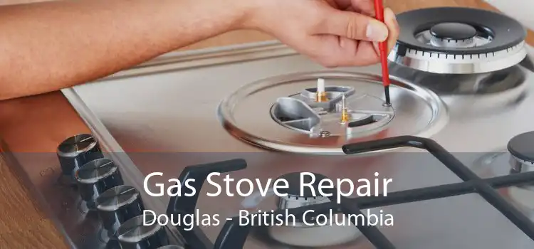 Gas Stove Repair Douglas - British Columbia