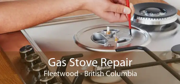 Gas Stove Repair Fleetwood - British Columbia