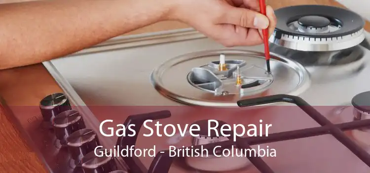 Gas Stove Repair Guildford - British Columbia