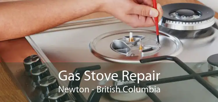 Gas Stove Repair Newton - British Columbia