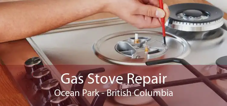 Gas Stove Repair Ocean Park - British Columbia