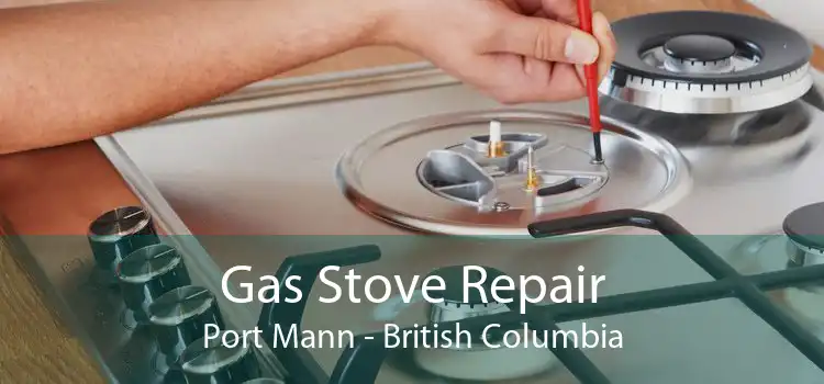 Gas Stove Repair Port Mann - British Columbia