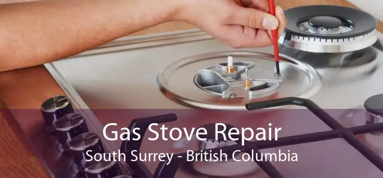 Gas Stove Repair South Surrey - British Columbia