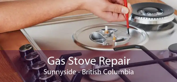Gas Stove Repair Sunnyside - British Columbia