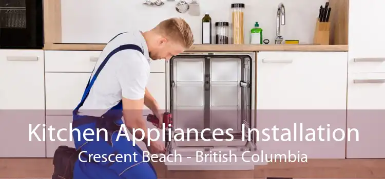 Kitchen Appliances Installation Crescent Beach - British Columbia