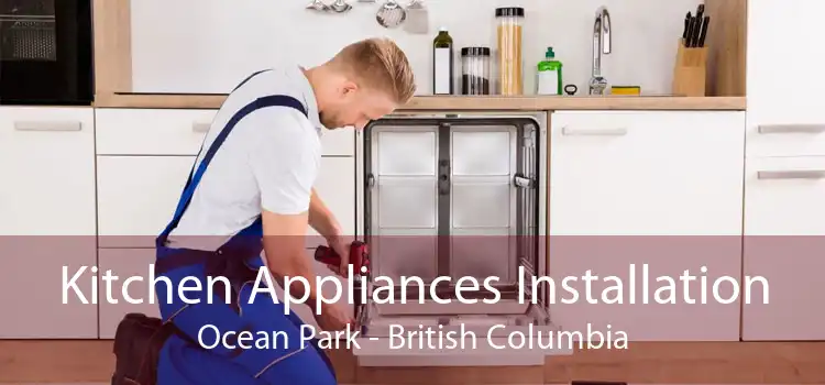 Kitchen Appliances Installation Ocean Park - British Columbia