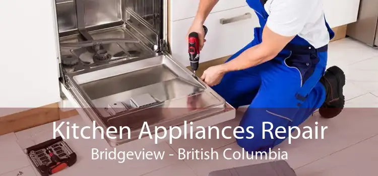Kitchen Appliances Repair Bridgeview - British Columbia