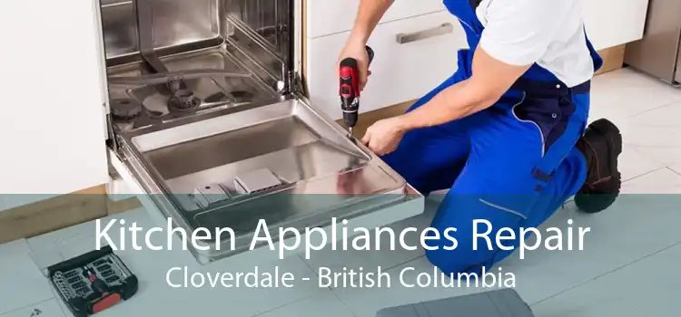 Kitchen Appliances Repair Cloverdale - British Columbia